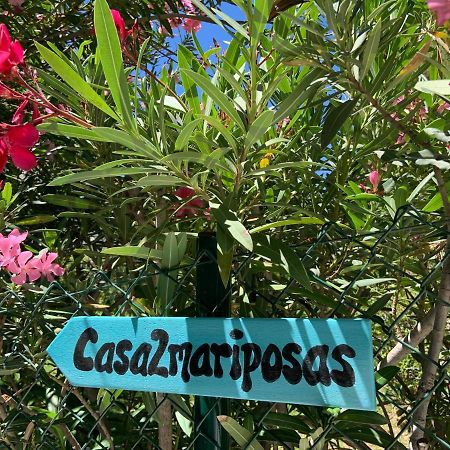 米哈斯Casa 2Mariposas别墅 外观 照片