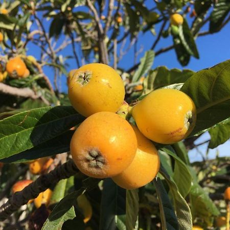 米哈斯Casa 2Mariposas别墅 外观 照片