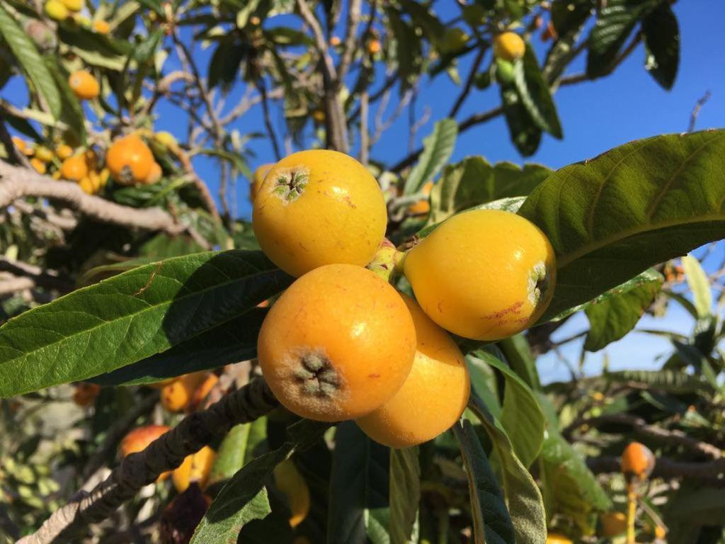 米哈斯Casa 2Mariposas别墅 外观 照片